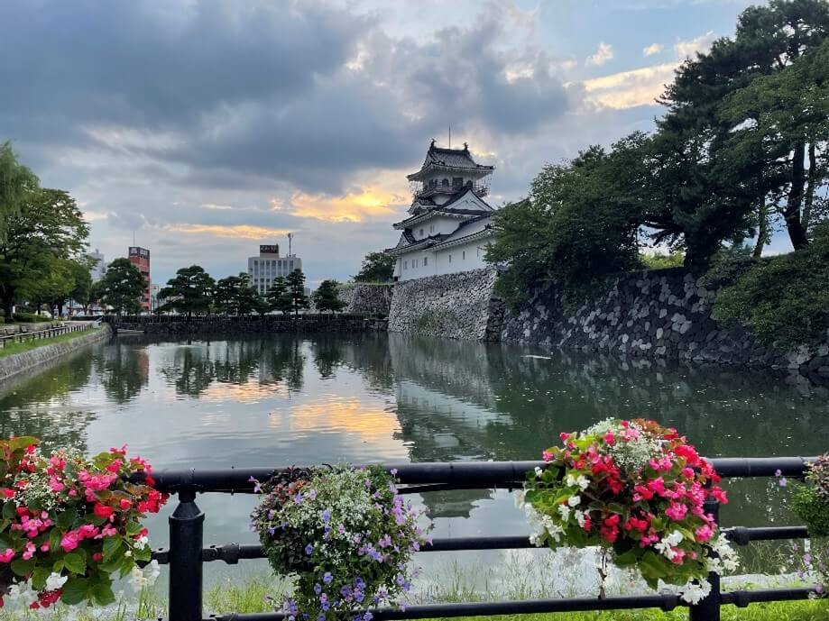 日本地域看護学会